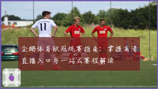 企鹅体育欧冠观赛指南：掌握高清直播入口与一站式赛程解读