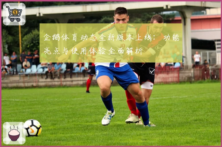 企鹅体育动态全新版本上线：功能亮点与使用体验全面解析