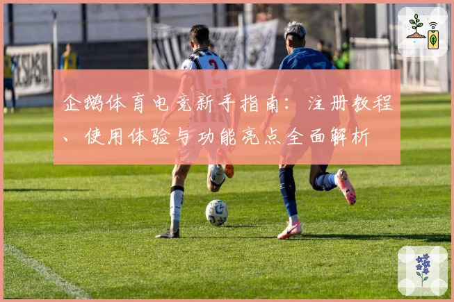 企鹅体育电竞新手指南：注册教程、使用体验与功能亮点全面解析