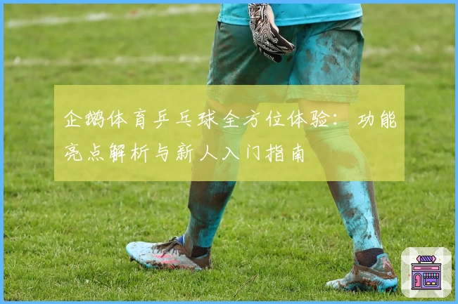 企鹅体育乒乓球全方位体验：功能亮点解析与新人入门指南