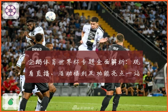 企鹅体育世界杯专题全面解析：观看直播、活动福利及功能亮点一站了解
